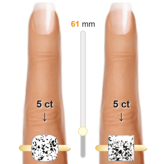 Image of the size comparison between 5ct Cushion and 5ct Princess